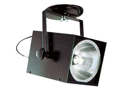 �X�g���{���C�g